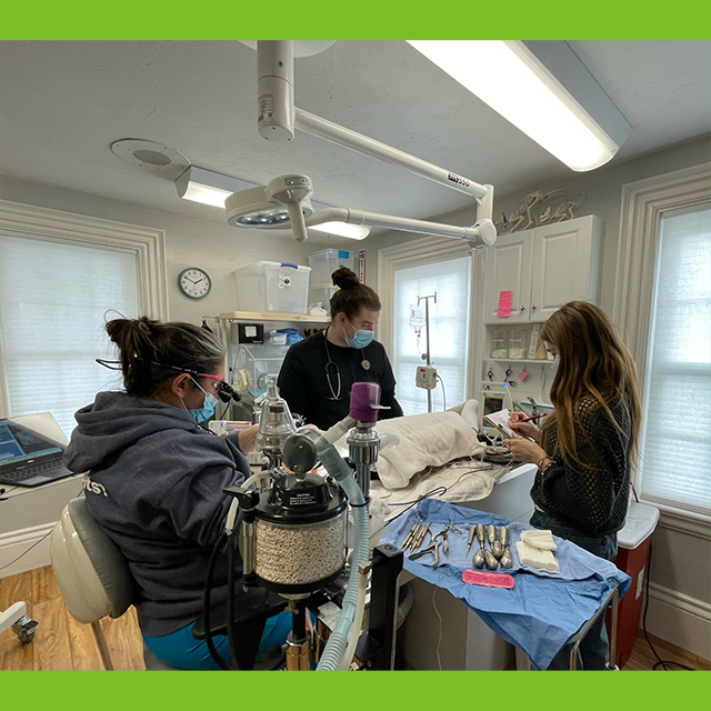 Read more about the article Seniors Complete Internships